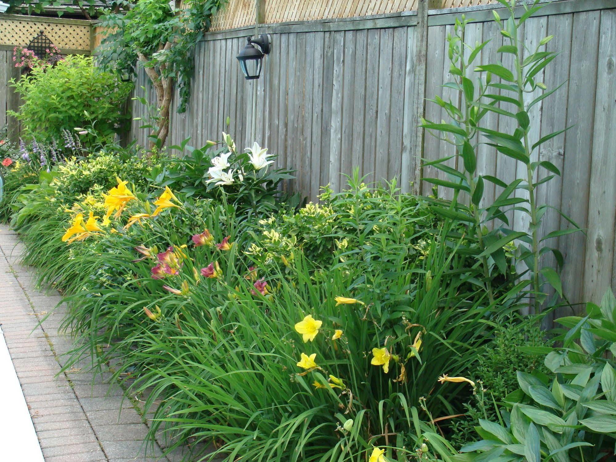 Robinsong Bed and Breakfast Thorold Exteriör bild